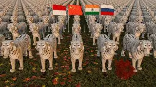 Tiger Population by Country 2024