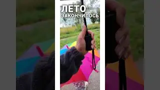 лето все-таки закончилось #shorts ждем бабье лето!