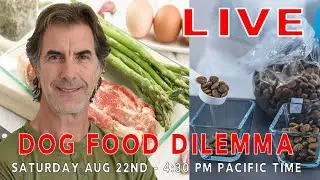 Dog Food Dilemma - What to Feed Our Dogs