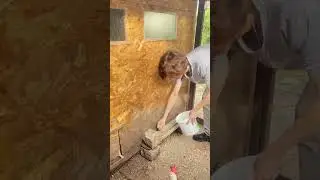 #shortsvideo Гули - гули и так каждый день…😅