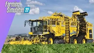 Learn How to Pick and Sell Beets in Farming Simulator 22