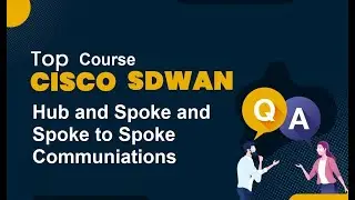 Cisco SD-WAN Hub and Spoke and Spoke and Spoke Communications