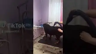 3 ноября 2022 г.