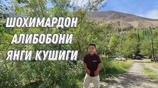 Шохимардонга сафаримиз бошланди..Алибобонинг янги кушиги..