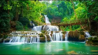 Relaxing Music For Stress Relief, Anxiety and Depressive States • Heal Mind, Body and Soul