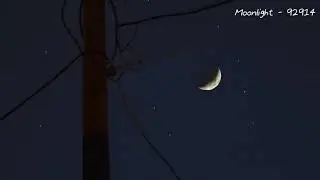 [ 🥐언니랑 빵먹고 달보는 Playlist🌙 ]