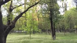 Великие слова СУЛТАНА СУЛЕЙМАНА...
