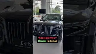 “Красный Флаг” #hongqi электричка из Китая #автоизкитая #автоэксперт123