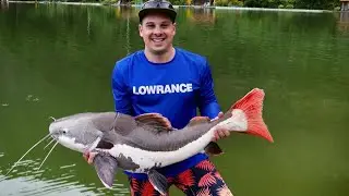 Some of the largest freshwater fish in the world live here!