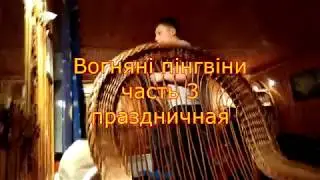 Пингвиний3