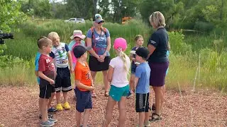 Food Webs: Nature WY