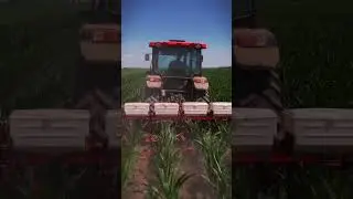 #кукуруза #limagrain #drone #agriculture #farming #agro #corn #farm
