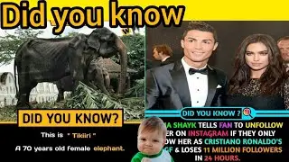 Did you know| fact video|Amazing Facts That You Should Know|Did You Know Facts?|GetsetFlyFact #fact