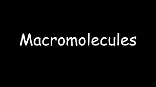 Macromolecules