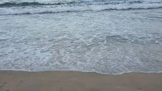 春の海 Nhạc xuân