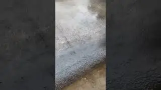 Rain chickens
