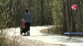 Проголосовали за лыжную базу