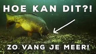 Hoe kan dit?! Onderwater Karpervissen op Hooked Lake met Underfishing!