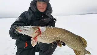 Щуки Монстры!!!!!НЕ ЛЕЗУТ В ЛУНКИ.Рыбалка на Рыбинском Водохранилище.