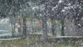 Stock Video - Thick heavy snow falling in slow motion during early winter storm