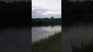 Summer evening on the Don River🔊 #shorts #nature #relax #summer #evening #river #лето #вечер #река