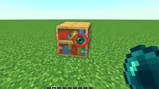 what s inside bookshelf minecraft?