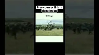 #programming
