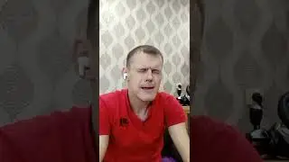 Святой чаек! в действии 😁