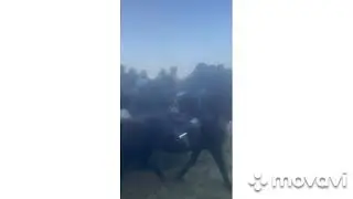 бози бузкаши дар Москва