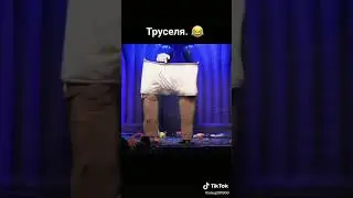 Труселя