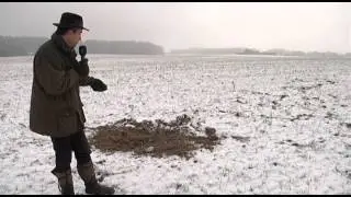 Arme Wildschweine: Jäger schießen im Winter besser