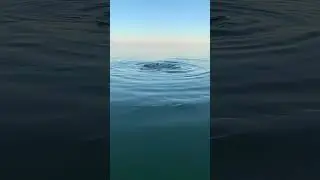 Море#черноеморе #2020 #санжейка#отдых#воспоминания#одесса #sea #sea