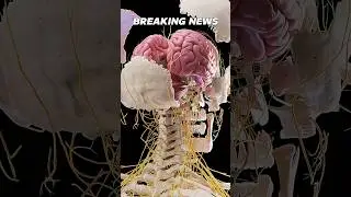 MICROPLASTIC is found in human brain. #shorts #facts #news