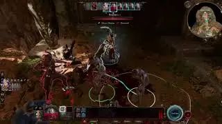 Baldur's Gate 3 : spore druid meta build