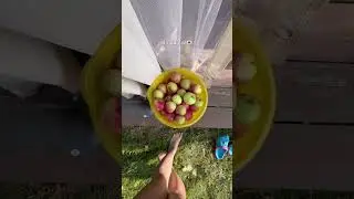 Лето, как самый любимый сезон года💛