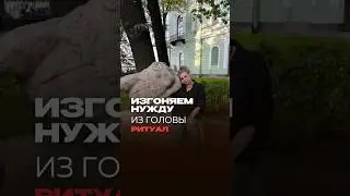 27 октября 2023 г.