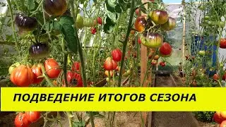 ПОДВЕДЕНИЕ ИТОГОВ СЕЗОНА ТОМАТОВ, ЛУЧШИЕ СОРТА И ЧТО НЕ ПОСАЖУ