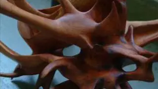 Phoenicean Juniper  Organic Wood Sculpture