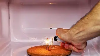 7 OBJETS À NE PAS METTRE AU MICRO-ONDES !