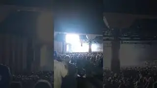 #shorts Outside of the Box:  Enjoying a Foo Fighters Concert, Part 7!!