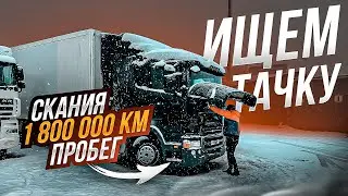 НА ФОТО ОДНО,В ЖИВУЮ ДРОВА((ИЩЕМ ГОЛОВУ
