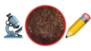 Pencil Shading Viewed Under a Microscope