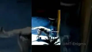 Cámara Capta Extraña Manifestación #paranormal #miedo #fypage #omg #amazing #video
