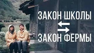 Закон школы и закон фермы | Эдуард Васильев