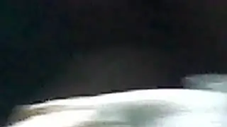 Kitten chasing mom video