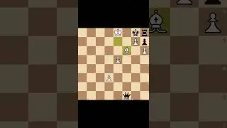 У вас ФЕРЗЬ?😢 А у нас для вас ЦУНГЦВАНГ🎆🎁 #шахматы #chess