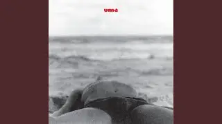 Des-Mente