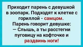Девушка Разделась Перед Гориллой! Веселый Анекдот Дня! Юмор!