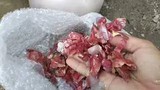 Jangan Di Buang!! Manfaat Kulit Bawang Merah Di Jadikan Pupuk Organik Buat Pertumbuhan Tanaman