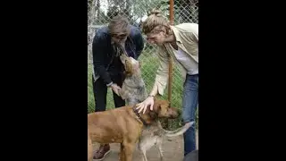 Rockdog Foster the People "Pumped Up Kicks" Bible Study